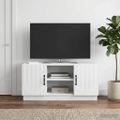 vidaXL TV skrinka Biela 102 x 34,5 x 47 cm Kompozitné drevo
