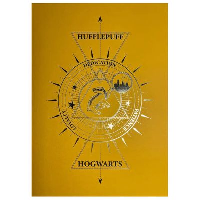 Obraz Harry Potter - Mrzimor