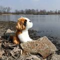 Plyšový pes bernardín 20 cm ECO-FRIENDLY