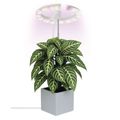 Pozemná lampa EMOS Z7902 LED GROW 8 W, časovač, stmievateľná, biela