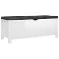 vidaXL Úložný box+podložka, lesklý biele 105x40x45cm kompozitné drevo