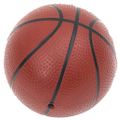 vidaXL 5-dielna sada basketbalového koša na stenu