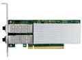 DELL Intel E810-XXV/ 2-portová síťová karta/ 100GbE QSFP28/ RJ45/ PCIe/ low profile/ poloviční výška DELL Intel E810-XXV/ 2-portová sítová karta/ 100GbE QSFP28/ RJ45/ PCIe/ low profile