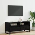 vidaXL TV skrinka so zásuvkou Čierny dub 100 x 34,5 x 44,5 cm