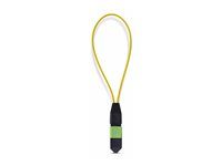 Single Mode MPO-12 Female Loopback Plug - LOOPBACKMTP12OS2SMF