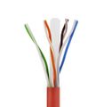 UTP Patch Kábel Neku 2x RJ45 CAT6 0,5m, červený UTP Patch Kabel Neku 2x RJ45 CAT6 0,5m, červený
