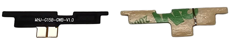 30019