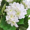 vidaXL Umelá rastlina, hortenzia s kvetináčom 60 cm, biela