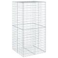 vidaXL Gabiónový kôš s krytom 100x100x200 cm pozinkované železo