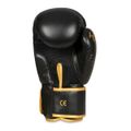 Boxerské rukavice DBX BUSHIDO B-2v17 16 oz