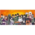Hrnek Naruto Shippuden - Konoha Ninjas