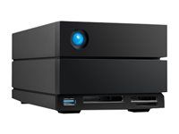 Pole pevných diskov - 32 TB - 2 pozície (SATA-600) - HDD 16 TB x 2 - Thunderbolt 4, USB 3.2 Gen 2 (externý) - s 5-ročným Rescue Data Recovery Service Plan