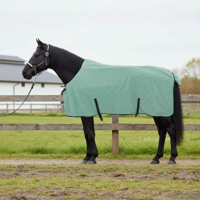 vidaXL Plášť pre kone Špeciálna zelená 125 cm Polyester