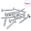 vidaXL Skrutka 12 ks Strieborná 9,8 x 35 mm Železo