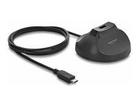 Delock Magnetic base USB Type-A female t
