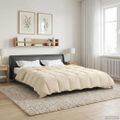 vidaXL Zimný prehoz 200 x 220 cm Zima Mikrovlákno (100% polyester)