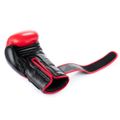 Boxerské rukavice DBX BUSHIDO Warrior RED 12 oz