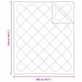 vidaXL 2-v-1 Prikrývka 240 x 200 x 8 cm Zima Polyester Biela Priedušná