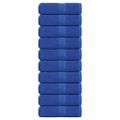 vidaXL Utierky na umývanie FROGN 10 ks modré 30x30 cm 360 g/m²