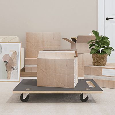 vidaXL Transportné vozíky 2 ks, obdĺžnikové 80x55x11,5 cm 250 kg