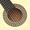 vidaXL Klasická gitara pre začiatočníkov 4/4 39" lipové drevo