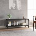 vidaXL TV skrinka čierna 100x33x41 cm spracované drevo a oceľ