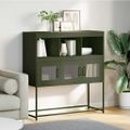 vidaXL Komoda olivovozelená 100,5x39x107 cm oceľ valcovaná za studena