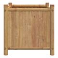 vidaXL Kvetináč 40x40x40 cm bambus