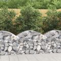 vidaXL Oblúkový gabionový kôš 100x50x60/80 cm pozinkované železo