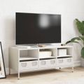 vidaXL TV skrinka biela 101,5x39x43,5 cm oceľ valcovaná za studena
