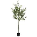 vidaXL Umelý olivovník 700 listov 165 cm zelený