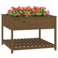 vidaXL Kvetináč s policou medovohnedý 111,5x111,5x81cm masív. borovica