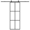 vidaXL Posuvné dvere s kovaním 76x205 cm ESG sklo a hliník