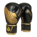 Boxerské rukavice DBX BUSHIDO B-2v17 16 oz