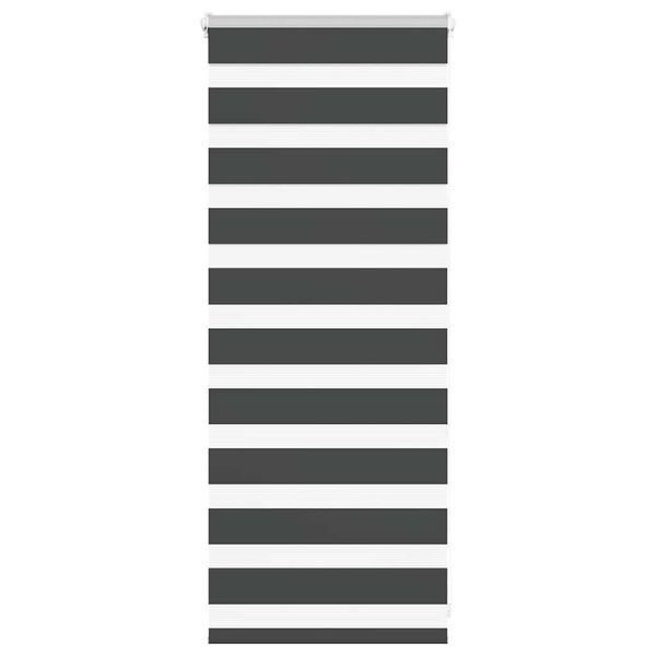 vidaXL Zebra roleta čierna 65x100 cm šírka látky 60,9 cm polyester