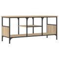 vidaXL TV skrinka dub sonoma 100x35x45 cm spracované drevo a železo