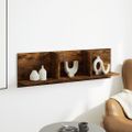 vidaXL Nástenná skrinka 100x16,5x30 cm dymový dub kompozitné drevo