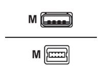 Cisco - Kábel USB - USB (M) do mini-USB typ B (M) - 1.83 m - pre P/N: IR829B-2LTE-EA-RK9, IR829B-LTE-EA-RK9, IR829M-2LTE-EA-RK9, IR829M-LTE-EA-RK9