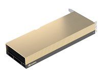 Grafický počítačový procesor - A30 - 24 GB HBM2 - PCIe 4.0 x16 - bez ventilátora