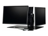 Upevňovací komponent (dvojkĺbový) - pre 2 LCD displeje - čierna - veľkosť obrazovky: až 25"