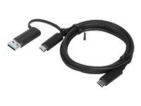 USB kábel - USB-C (M) na USB-C (M) - 20 V - 5 A - 1 m - čierna - pre ThinkPad T16 Gen 4 21QN