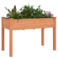 vidaXL Kvetináč s vložkou hnedý 118x59x76 cm jedľový masív