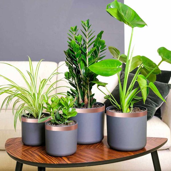 vidaXL Medená páska na ochranu proti slimákom 6 pcs Medená Medená