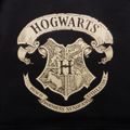 Batoh Harry Potter - Rokfort