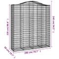 vidaXL Oblúkový gabionový kôš 2 ks 200x50x220/240cm pozinkované železo