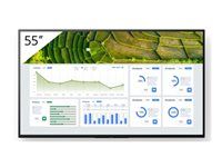 55" uhlopriečka BZ30L Series LCD displej s LED podsvietením - digital signage - Android TV - 4K UHD (2160p) 3840 x 2160 - HDR - Direct LED