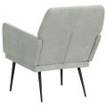 VidaXL Kreslo bledosivé 62x79x79 cm zamat