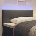 vidaXL LED hlavová doska s LED pásikmi Tmavo šedá 100 cm látka