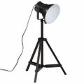 vidaXL Podlahová lampa 25 W čierna 35x35x65/95 cm E27