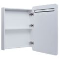 vidaXL LED kúpeľňová zrkadlová skrinka 60x11x80 cm